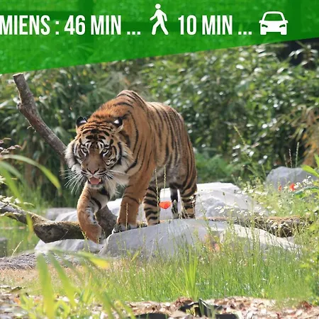 Location D'appartements - Cosysejour - Calme Fibre Netflix * أميا